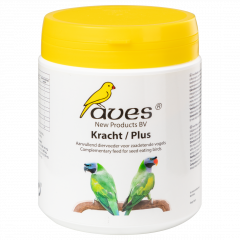 Aves Kracht - 18709